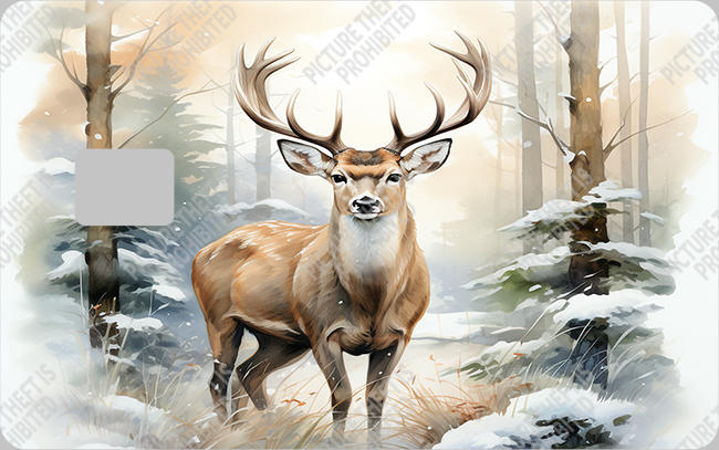 Bank  Card Sticker-BC-184